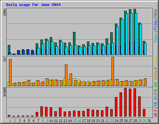 Daily usage for June 2024