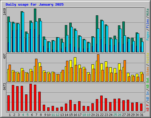 Daily usage for January 2025