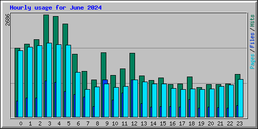 Hourly usage for June 2024