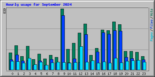 Hourly usage for September 2024