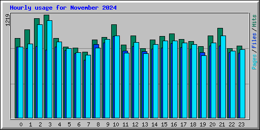 Hourly usage for November 2024