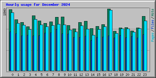 Hourly usage for December 2024