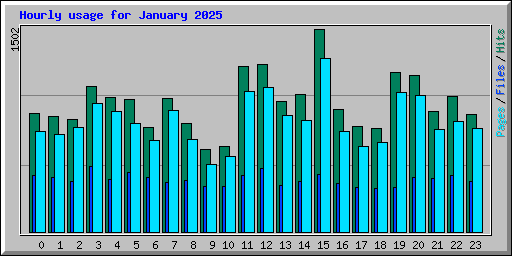 Hourly usage for January 2025