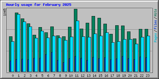 Hourly usage for February 2025