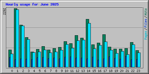 Hourly usage for June 2025