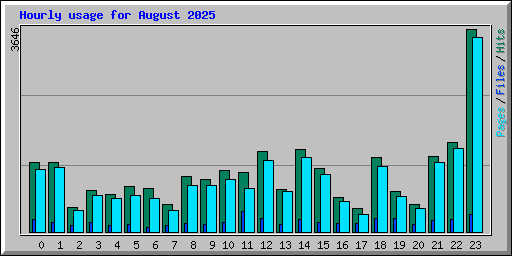 Hourly usage for August 2025