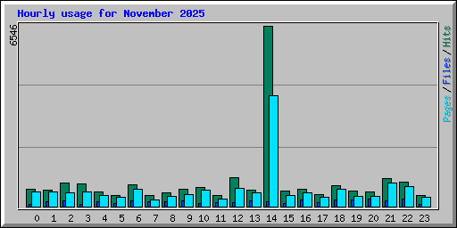 Hourly usage for November 2025