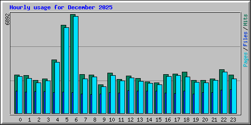 Hourly usage for December 2025
