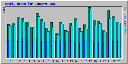 Hourly usage for January 2026