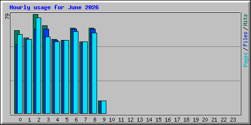 Hourly usage for June 2026