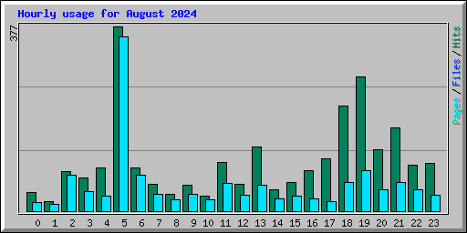 Hourly usage for August 2024