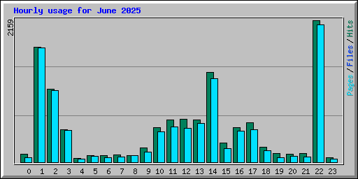 Hourly usage for June 2025
