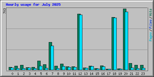 Hourly usage for July 2025