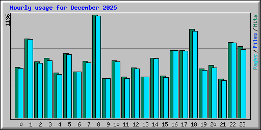 Hourly usage for December 2025