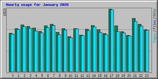 Hourly usage for January 2026