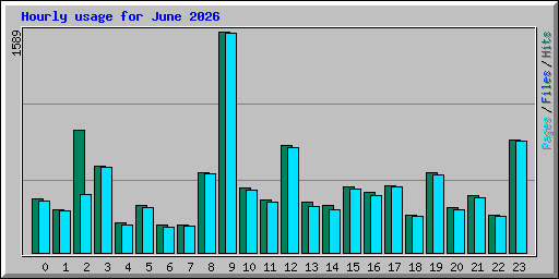 Hourly usage for June 2026